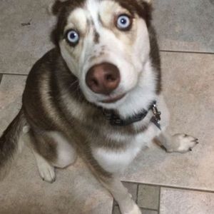 Meet your Posher, Jared